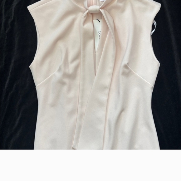 Calvin Klein Cream Neck Bowtie Dress - Picture 3 of 5